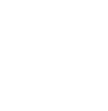 linkedin icon